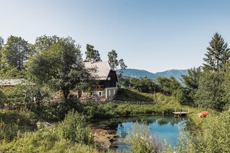 Mündlers Perschenhube