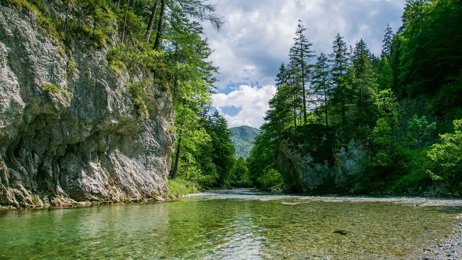 Wasser und Wald im Naturpark | nixxipixx.com | © Naturpark Mürzer Oberland Wasser und Wald im Naturpark | © Naturpark Mürzer Oberland