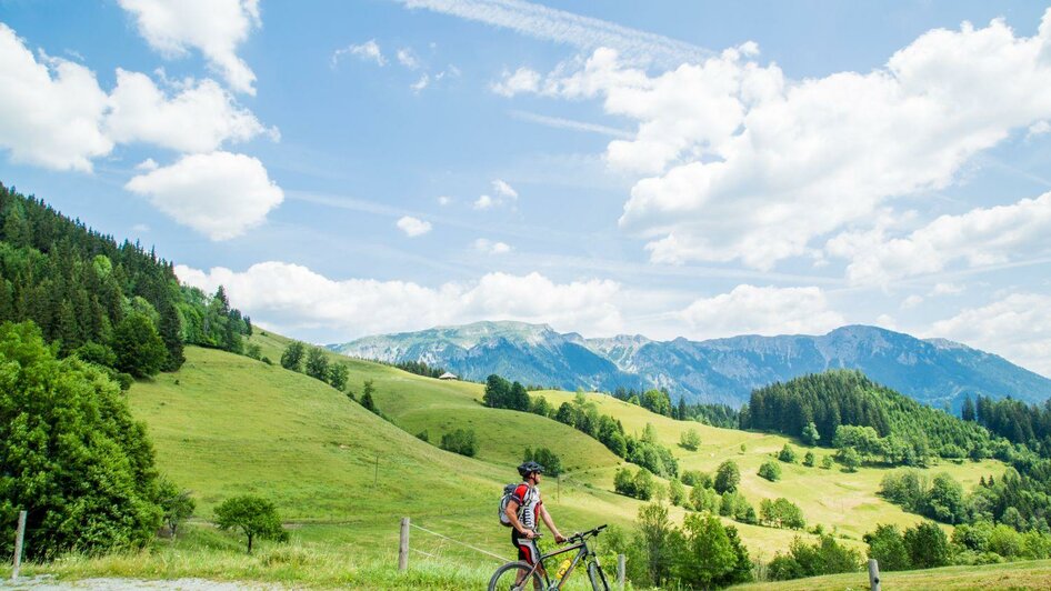 Mountainbiken im Naturpark Mürzer Oberland | nixxipixx.com | © Naturpark Mürzer Oberland Mountainbiken im Naturpark Mürzer Oberland | © Naturpark Mürzer Oberland