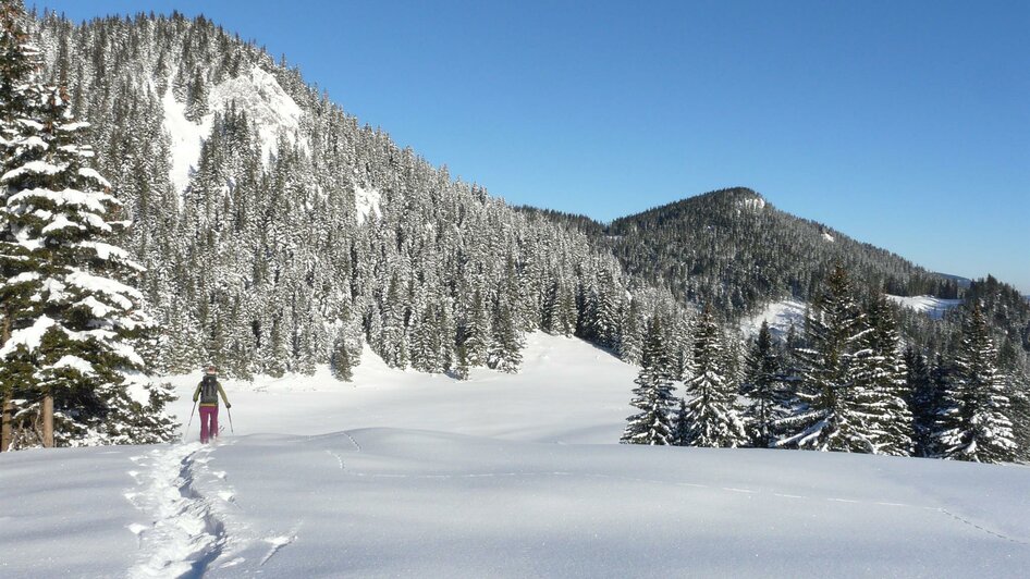 Schneeschuhwandern am Niederalpl | WEGES | © Naturpark Mürzer Oberland Schneeschuhwandern am Niederalpl | © Naturpark Mürzer Oberland