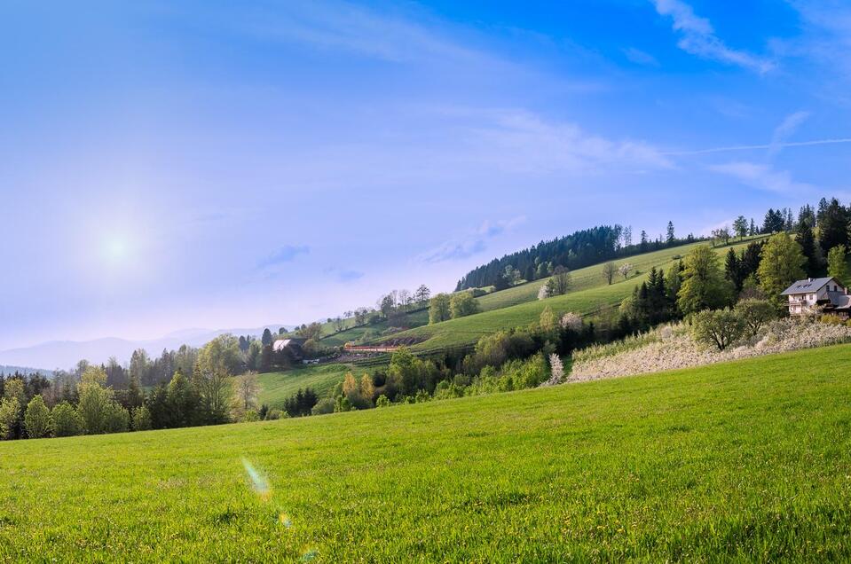 Panoramic Camping Graf - Impression #1 | © Oststeiermark Tourismus
