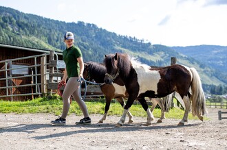 Reiten am Olachgut | © Tourismusverband Murau