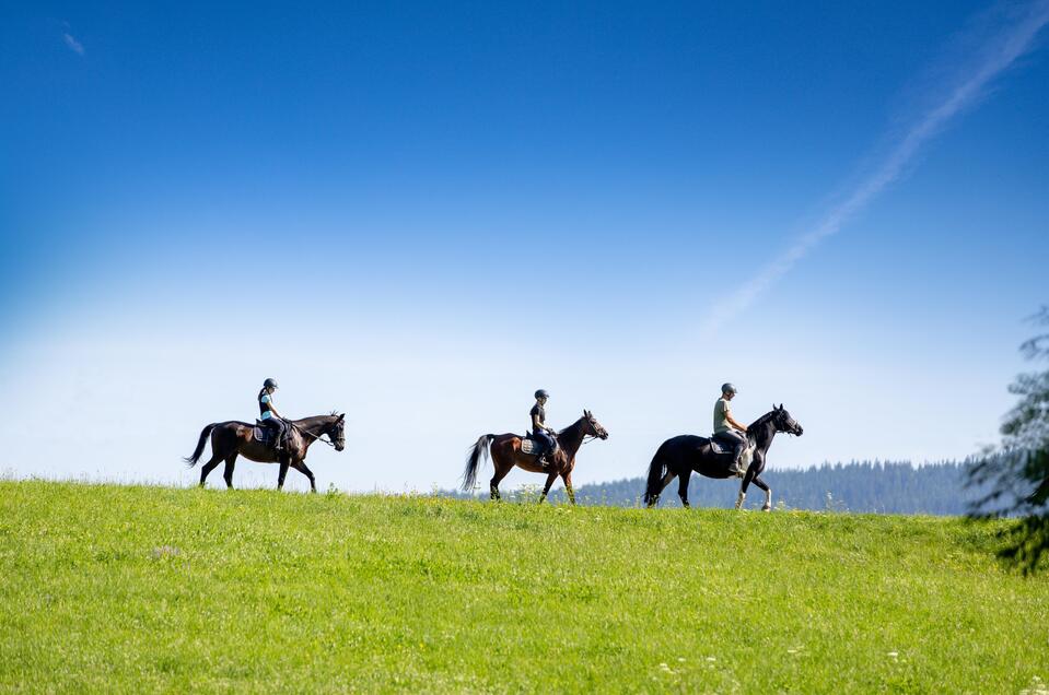 Riding at the Naturpark - Impression #1 | © Tourismusverband Murau