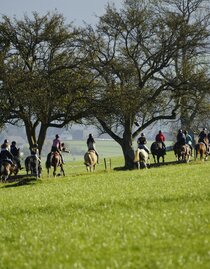 Horse farm Stockner_Horse ride_Eastern Styria | © Anton Stockner | © Anton Stockner