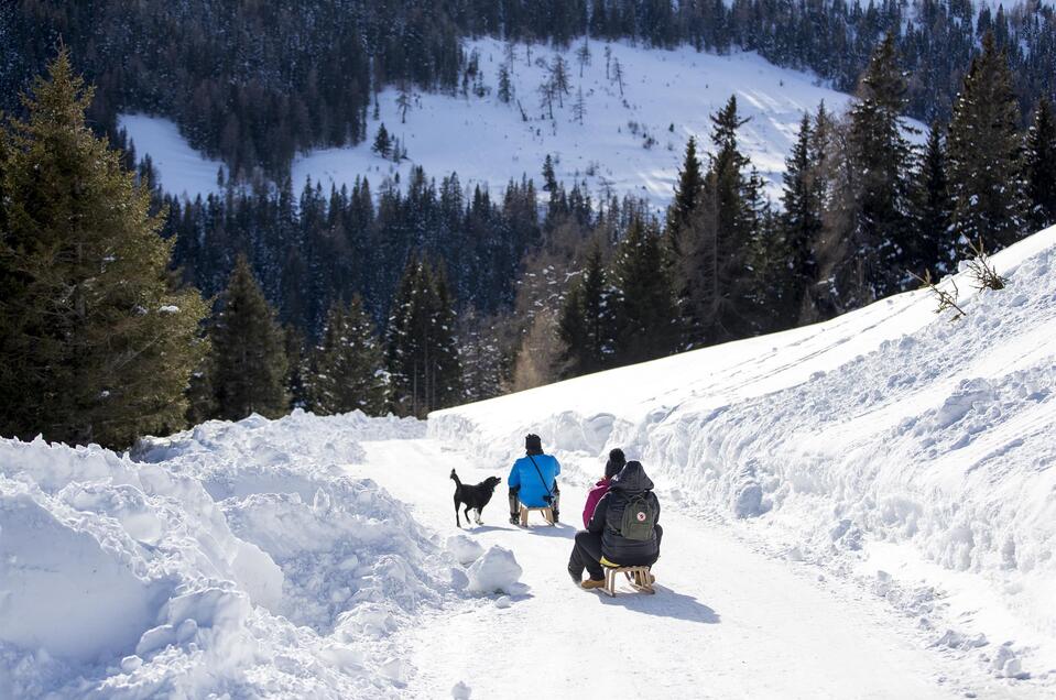 Rodeln Lachtal - Impression #1 | © Tourismusverband Murau