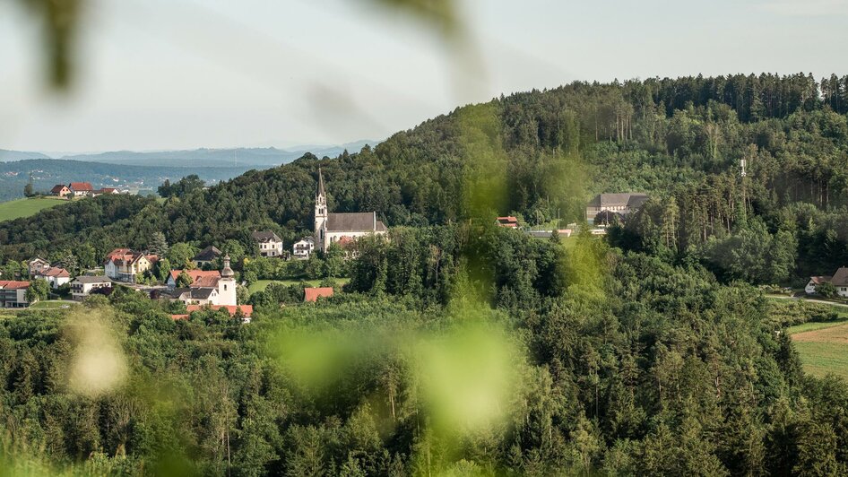Winery Johann Reicher vlg. Strimbauer - Impression #2.6