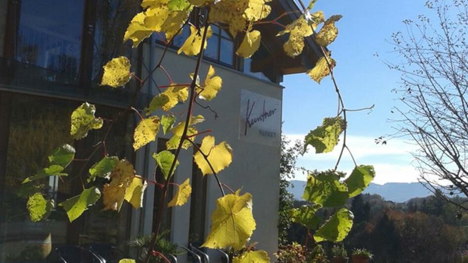 Weingut Kuntner Natur | Thomas Kuntner | © Weingut Kuntner l Thomas Kuntner Weingut Kuntner Natur | © Weingut Kuntner l Thomas Kuntner