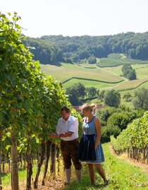 Arbeit im Weingarten | © Weinhof Konrad | Ulrike Korntheuer | © Weinhof Konrad