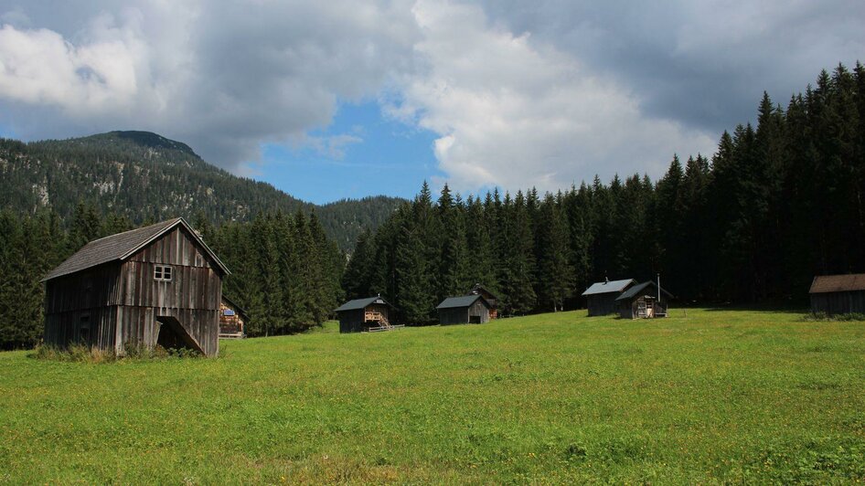 Blaa Alm, Altaussee, Almgebiet | Viola Lechner | © Viola Lechner Blaa Alm, Altaussee, Almgebiet | © Viola Lechner