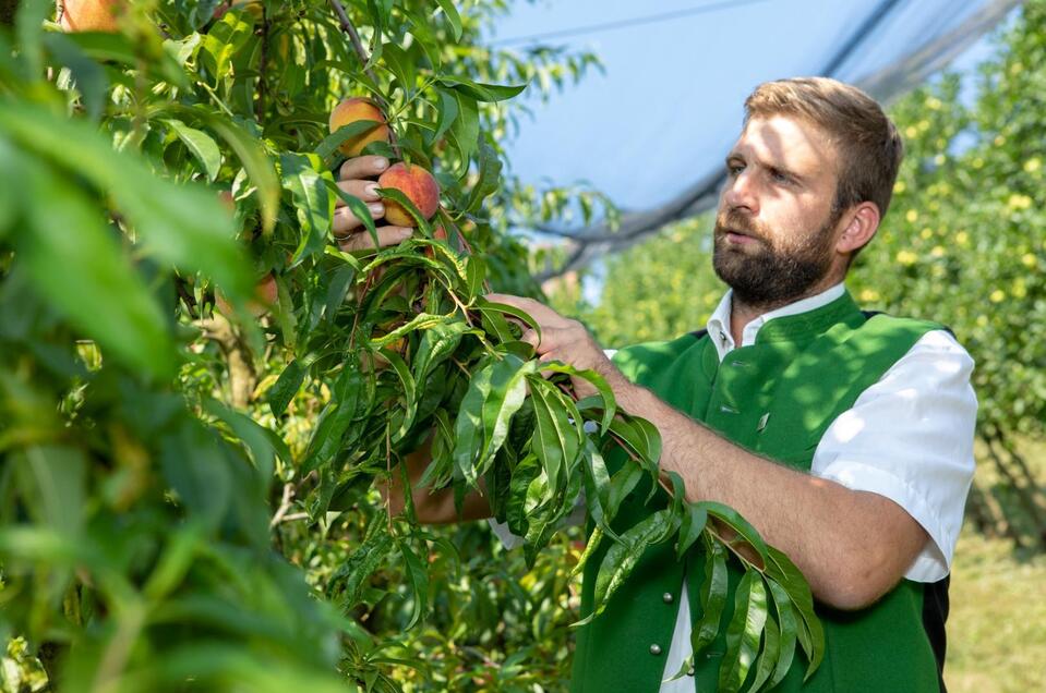 Obstbau Boden in St. Peter/O. - Impression #1 | © GlaMUR – Genuss am Fluss, Ulrike Korntheuer