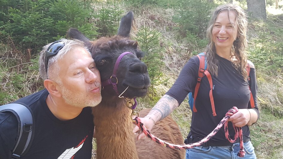 Lamas kuscheln gerne | © Carolina Gigleitner