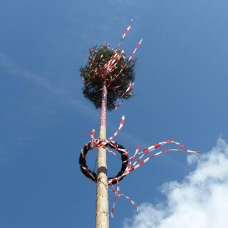 Maibaum | © pixabay.com