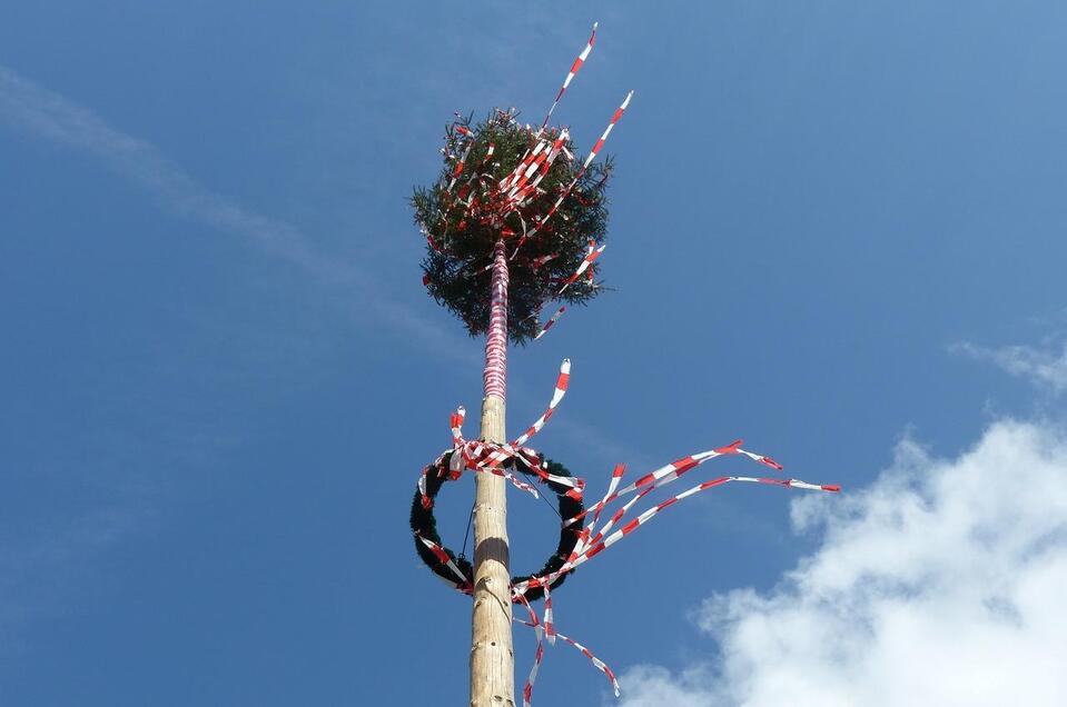 Maibaum | © pixabay.com