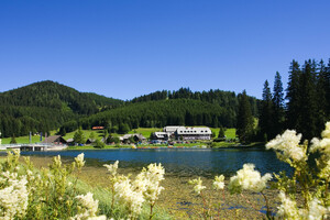 T1-021 | © Hotel Teichwirt
