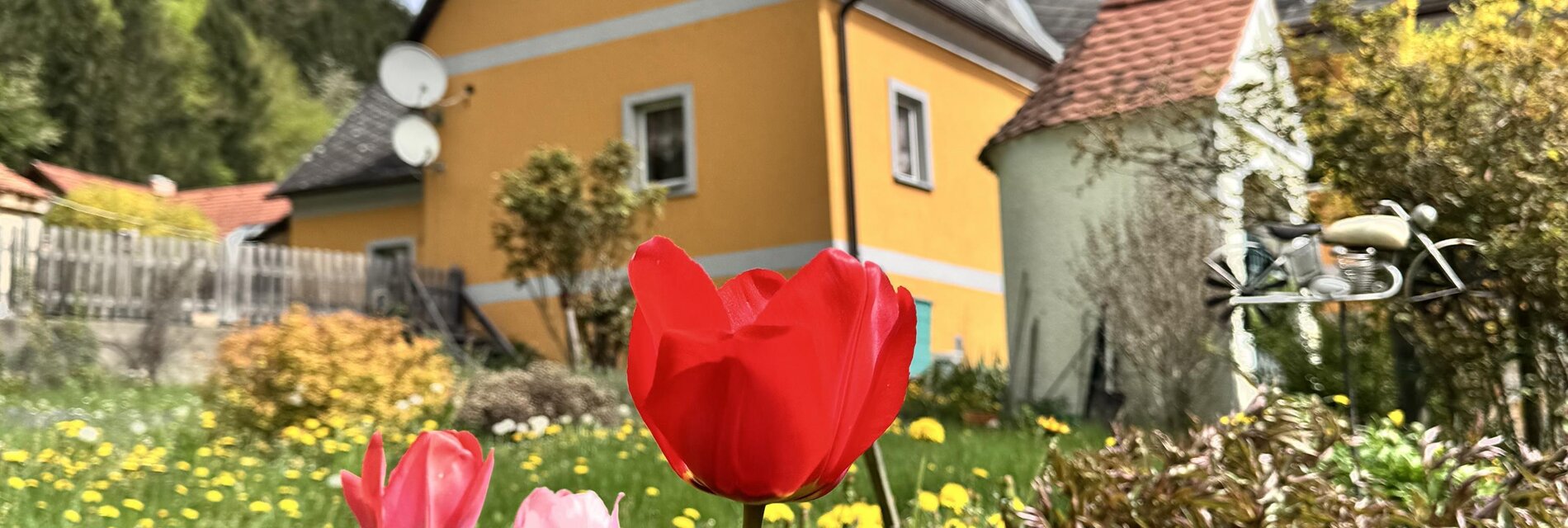 Ferienwohnung Mixnitz Bärenschützklamm_Hausanischt