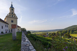 Feistritztal-St.-Johann-bei-Herberstein-Weingarten | © Stefan Hirzer