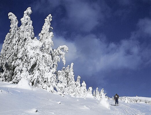Skitour am Hochwechsel