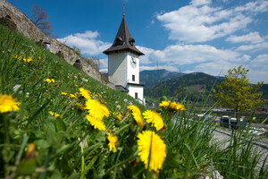 Schlossberg (c) TV Hochsteiermark, Harry Schiffer  | © TV Hochsteiermark