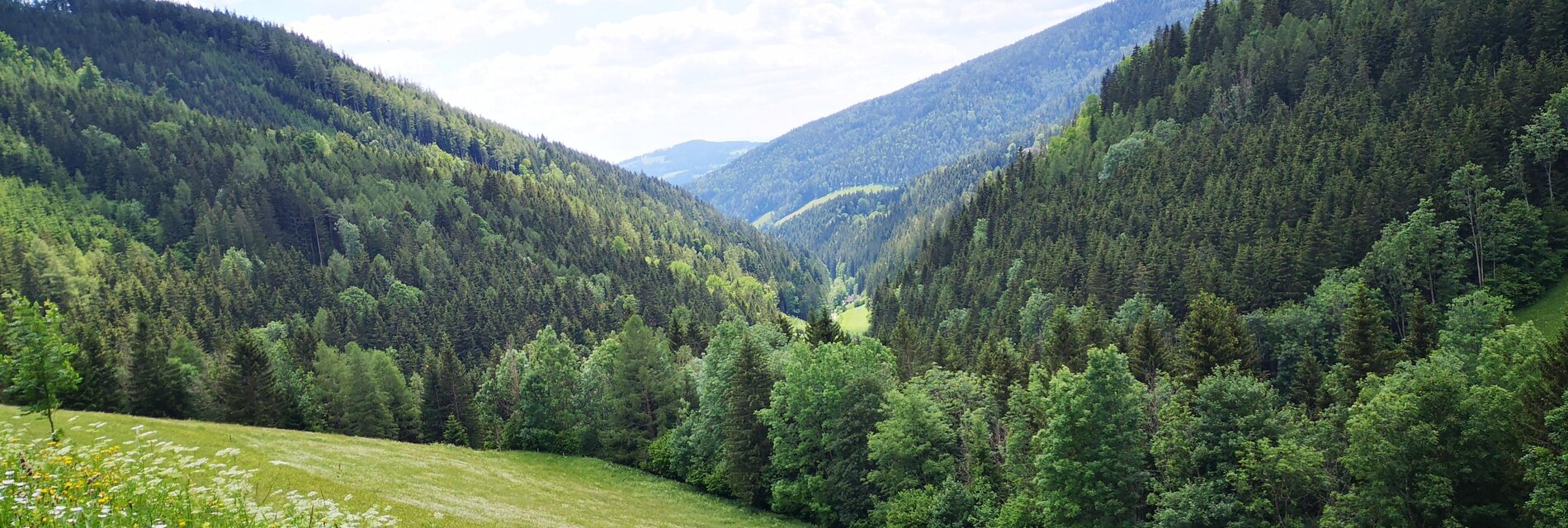 Package In tiefe Entspannung eintauchen - Landhaus Kurzen