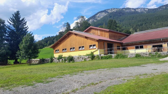 IMG-20250718-WA0005