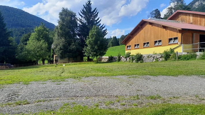 IMG-20250718-WA0007