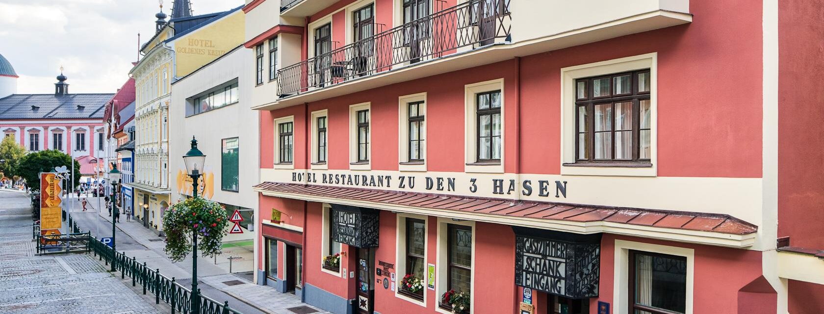 Hotel Drei Hasen Hausansicht