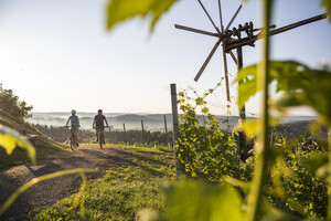 Radfahren in der Schilcherweinstraße | © Velontour