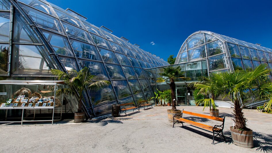 Glasarchitektur im Botanischen Garten in Graz mit Palmen. | © Graz Tourismus - Harry Schiffer