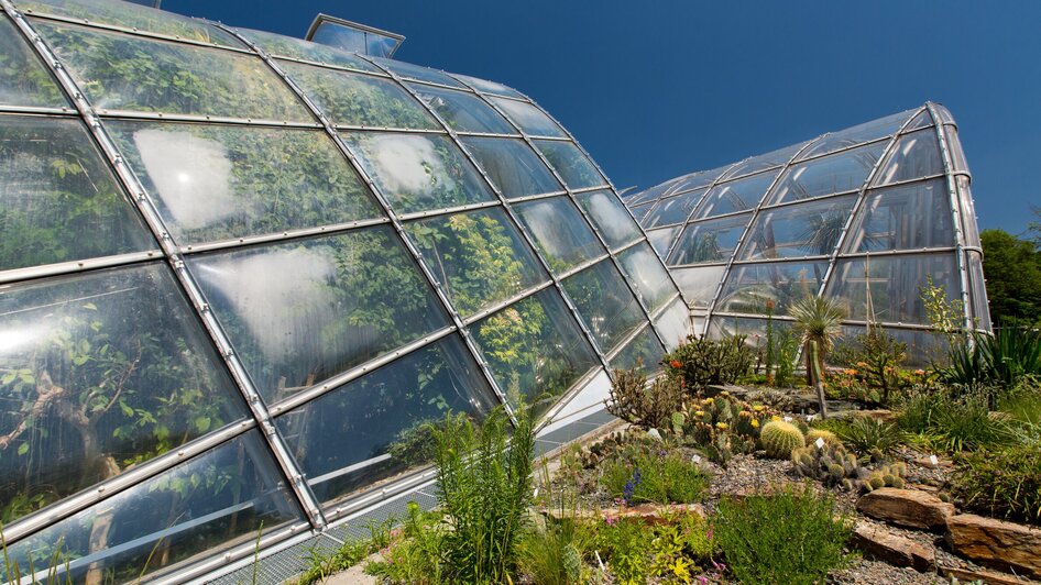 Gewächshäuser im Botanischen Garten in Graz unter blauem Himmel. | © Graz Tourismus - Harry Schiffer