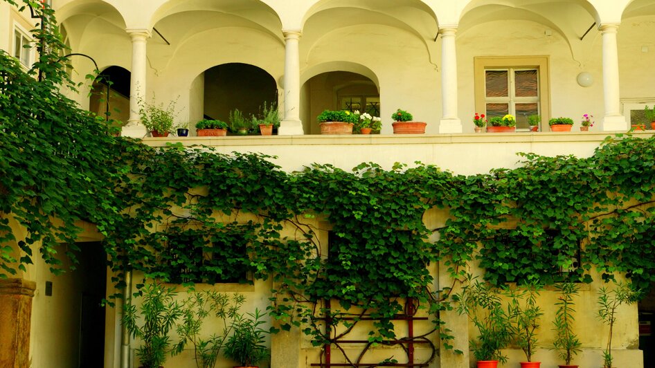 Ein Innenhof in der Grazer Sporgasse mit Pflanzen und Säulen, die über eine Wand wachsen. | © Graz Tourismus - Harry Schiffer