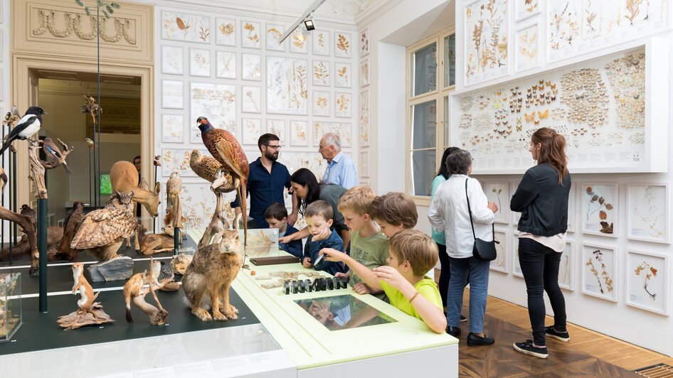 Besucher erkunden das Naturkundemuseum mit Ausstellungen zu Tieren und Pflanzen.