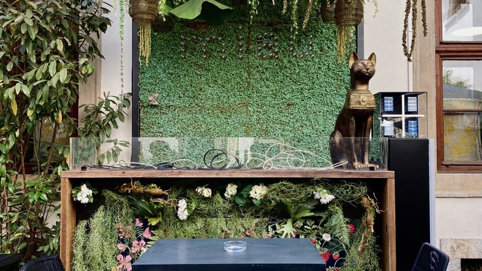 Gemütliche Bar mit Pflanzen und Tisch im Freien. | © Katze Katze