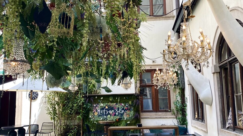 Gemütliche Bar mit Pflanzen und stilvollen Möbeln in Graz. | © Katze Katze