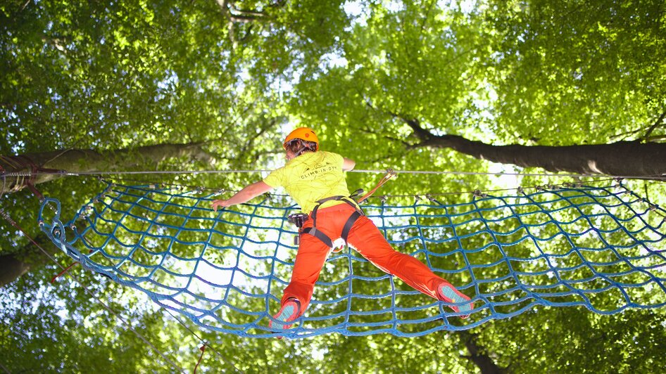 Person klettert in einem Kletterwald mit grüner Baumkulisse.