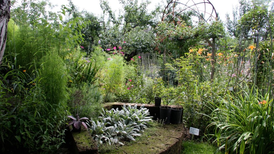 Ein blühender Garten mit Pflanzen und bunten Blumen. | © kunstGarten