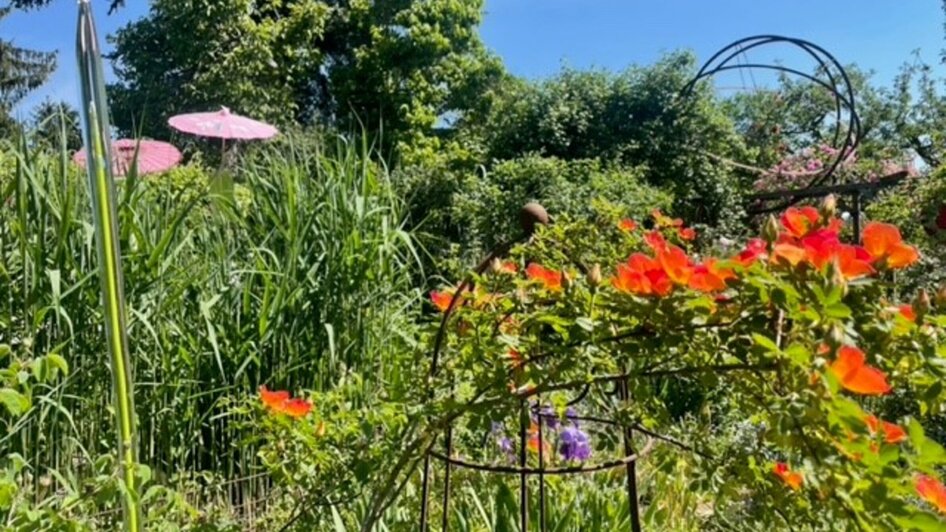 Bunter Garten mit blühenden Pflanzen und pinkem Sonnenschirm. | © kunstGarten