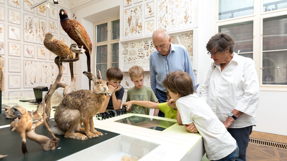 Besucher des Naturkundemuseums erkunden Tierexponate. | © UMJ - Harry Schiffer
