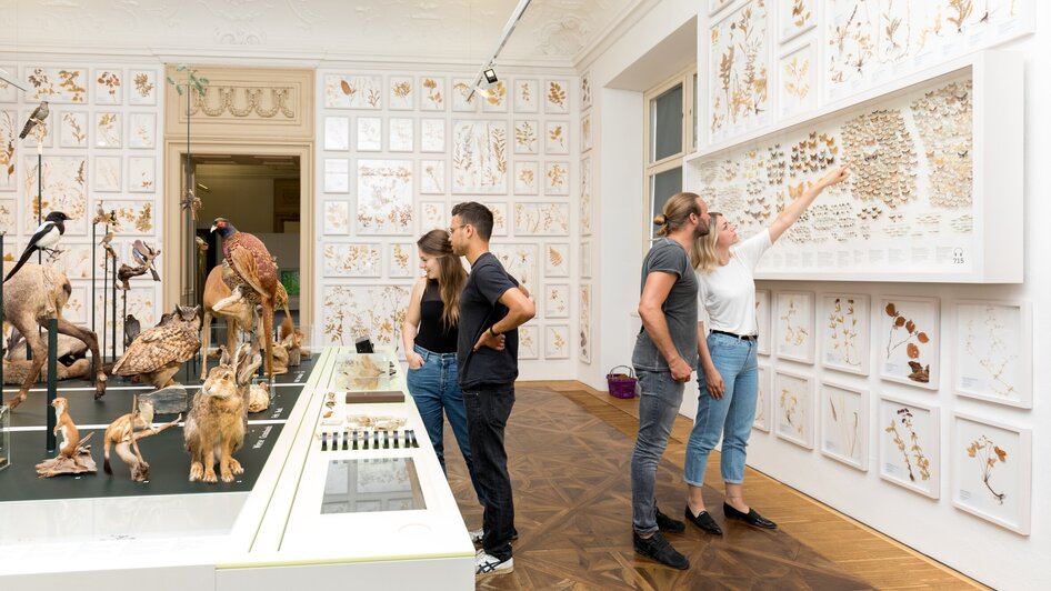Besucher im Naturkundemuseum betrachten Ausstellungsstücke und Informierungstafeln. | © UMJ - Harry Schiffer