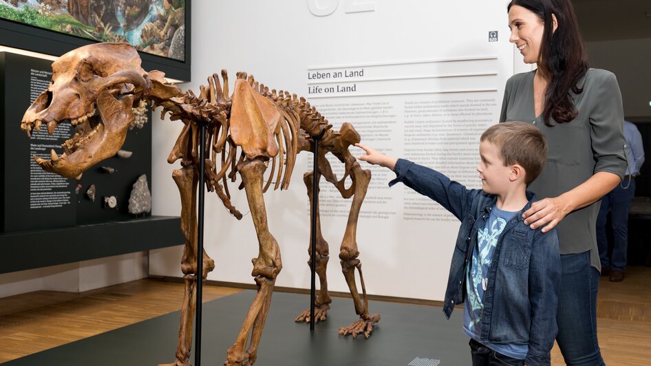 Frau und Kind betrachten Skelett im Naturkundemuseum. | © Harry Schiffer