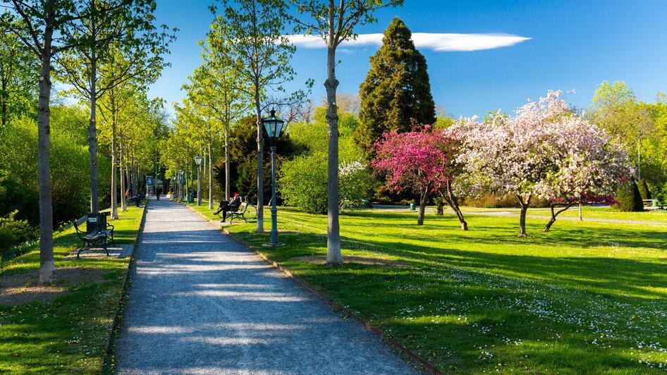 Blühender Stadtpark in Graz mit Bänken und Gehweg.