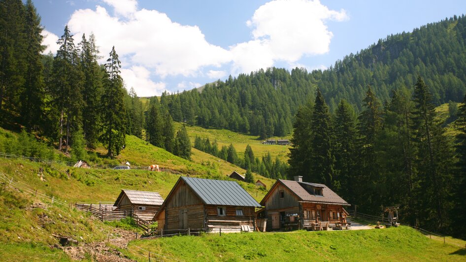 Die bewirtschaftete Adambauernalm am Weg zum Gumpeneck. | © Herbert Raffalt Die Adambauernalm ist in 1 Stunde zu Fuß erreichbar. | © Herbert Raffalt