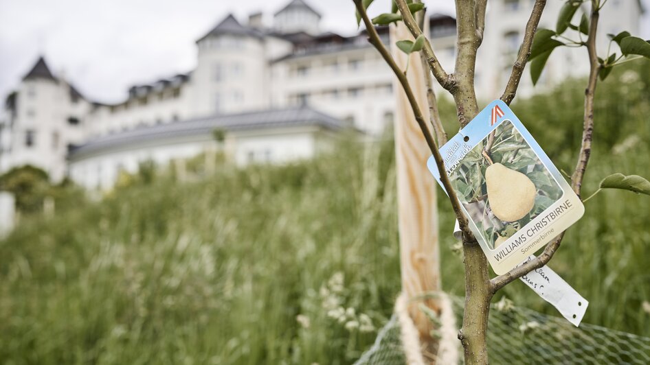 IMLAUER Schloss Hotel Pichlarn