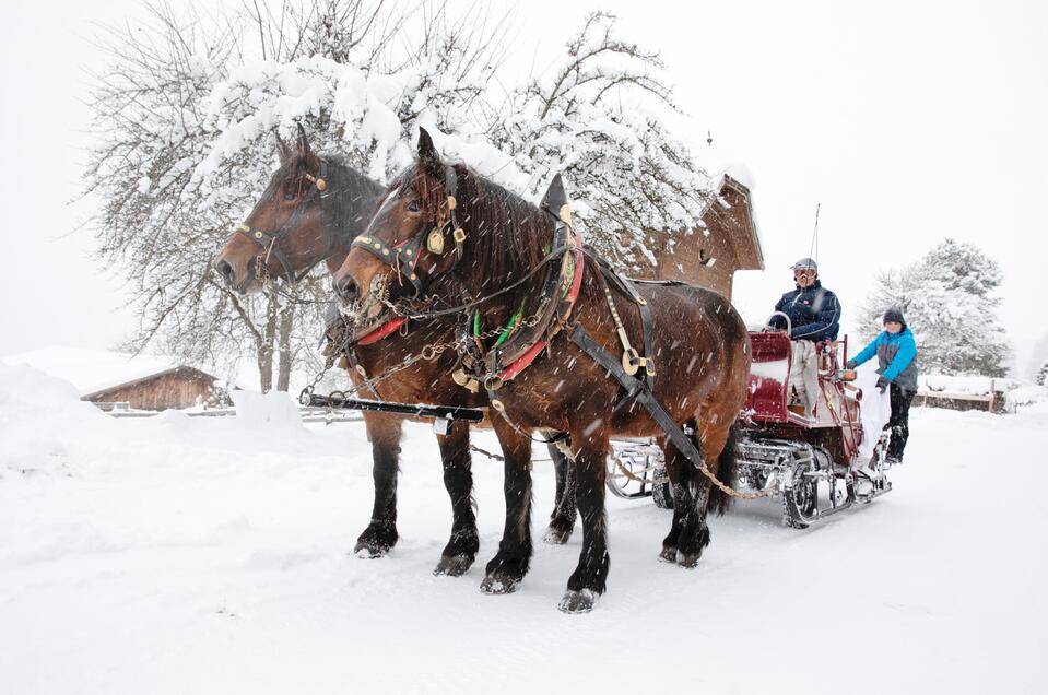 Horse Drawn Sleigh Rides Peterbauerhof - Impression #1