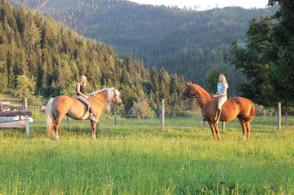Reiten am Hirzhof - Impression #1 | © Hirzhof